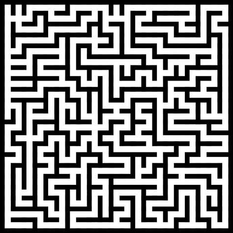 maze for north carolina