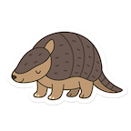 armadillo