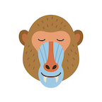 baboon