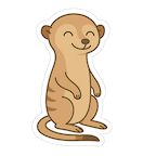 meerkat