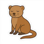 mongoose