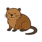 muskrat
