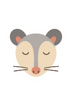 opossum