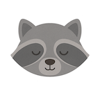 raccoon