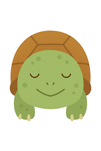 tortoise