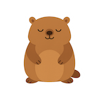 woodchuck