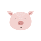 pig illustration