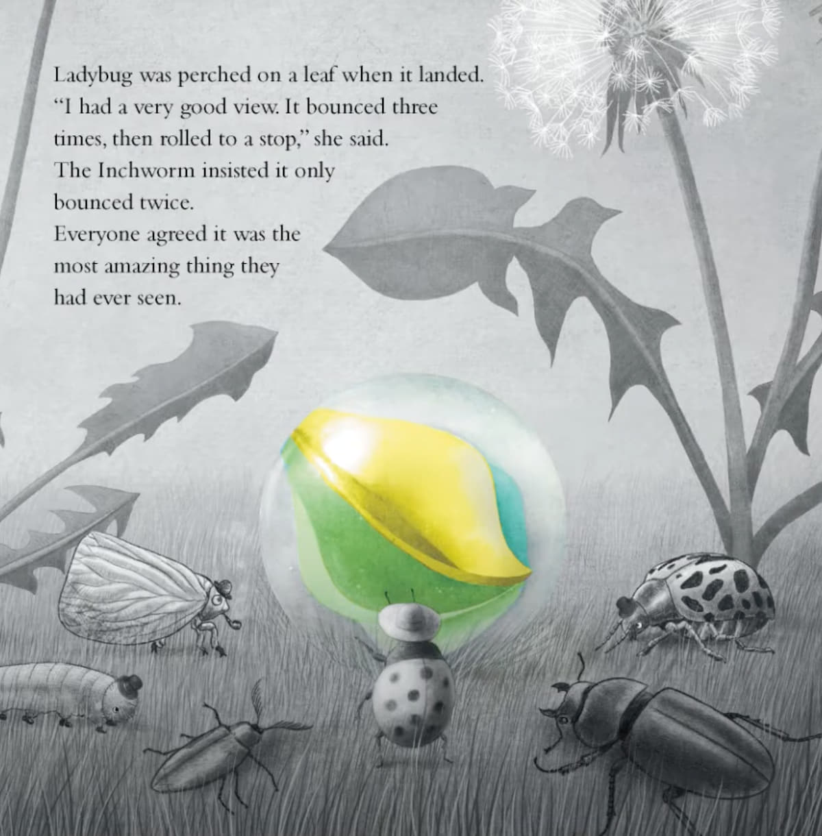 A ladybug wearing a hat with her back turned to the viewer, speaking to a group of other insects in front of a large colorful marble. The text reads “Ladybug was perched on a leaf when it landed. “I had a very good view. It bounced three times, then rolled to a stop," she said. The Inchworm insisted it only bounced twice. Everyone agreed it was the most amazing thing they had ever seen.”