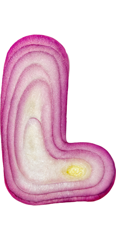 L styled as an Onion