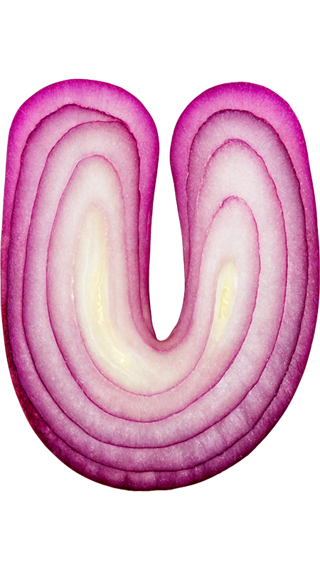 U styled as an Onion