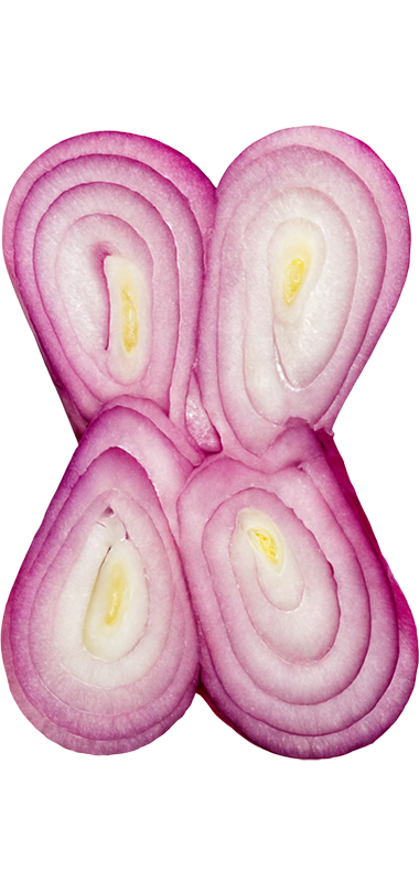 X styled as an Onion