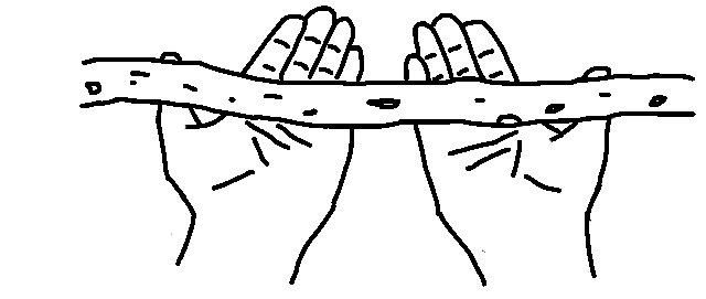 illustration of hands holding walking stick