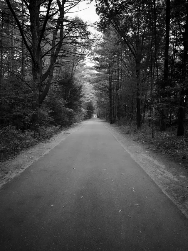 photograph of a straight paved trail