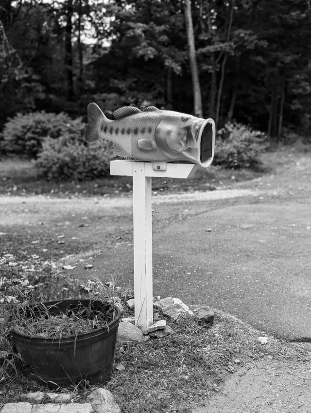 photograph of fish mailbox