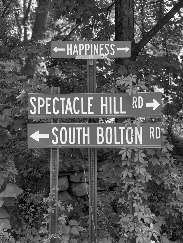 photograph of a street sign with a sign on top that says Happiness and points in both directions