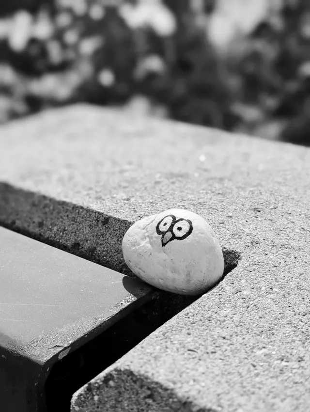 photograph of rock painted like a little bird