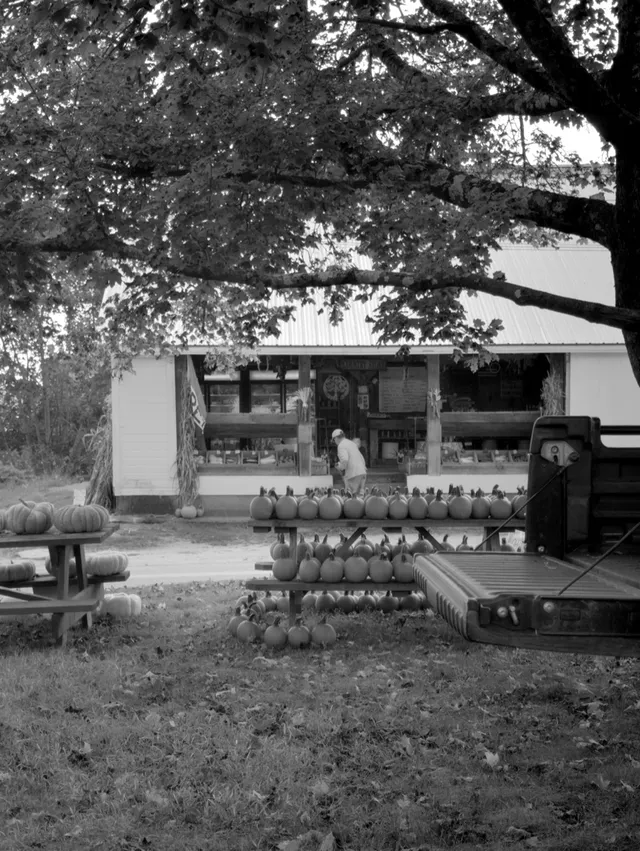 photograph of farmstand