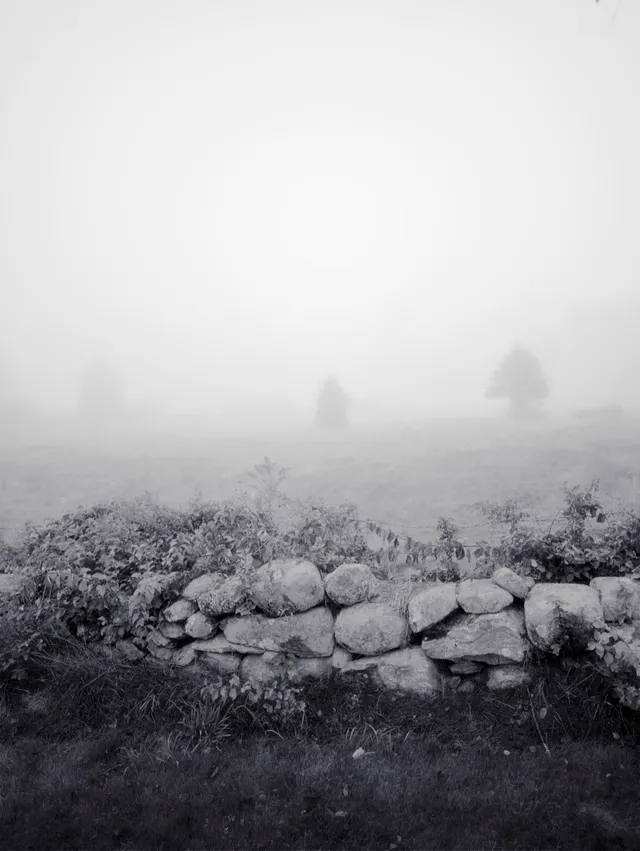 photograph of fog beyond a rock wall in a field