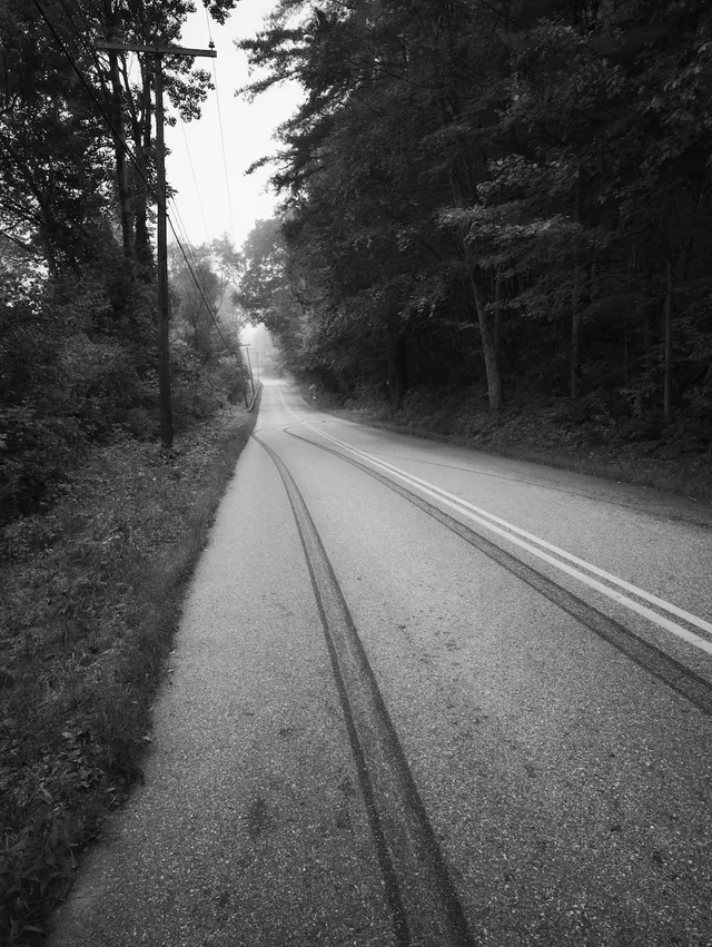 photograph of tire marks on an empty road