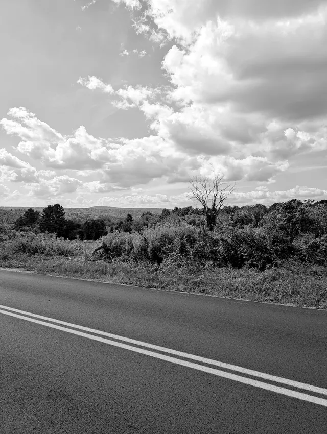 photograph of a road and mountain