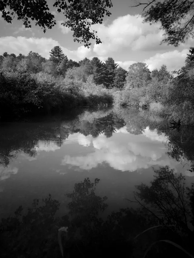 photograph of pond reflection