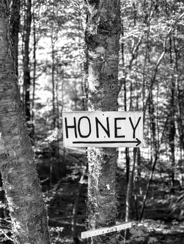 photograph of sign that says Honey