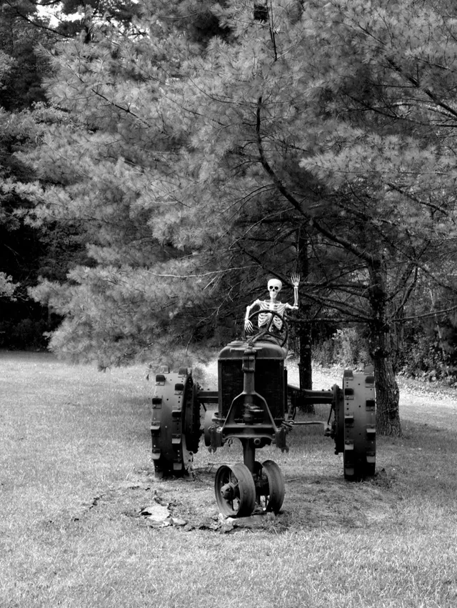 photograph of a skeleton riding a lawn mower