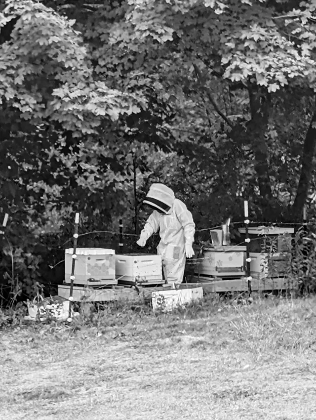 photograph of a beekeeper
