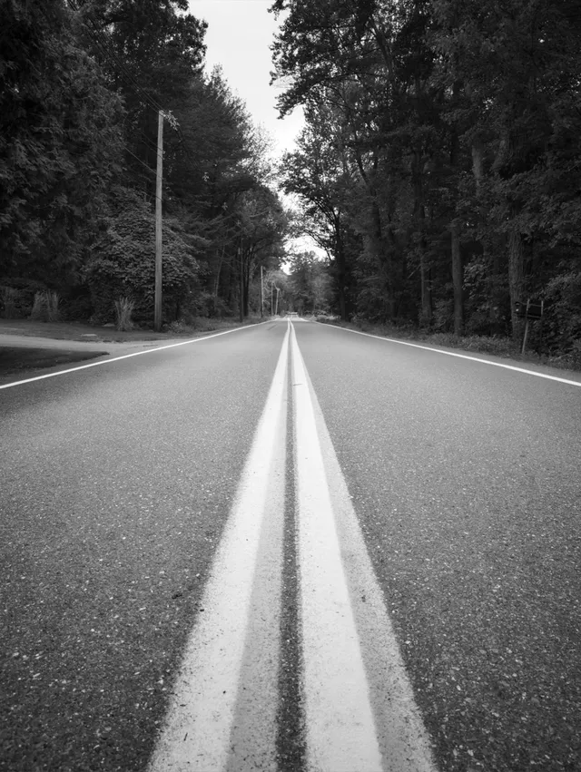 photograph of straight empty road in the woods