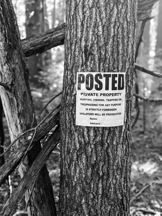 photograph of a no tresspassing sign on a tree