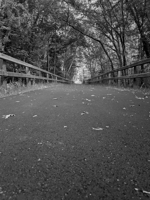 photograph of a straight rail trail