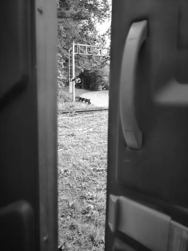 photograph of a railroad crossing a street from a porta potty