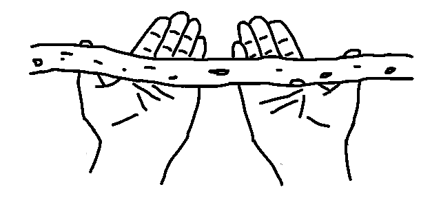 illustration of hands holding walking stick