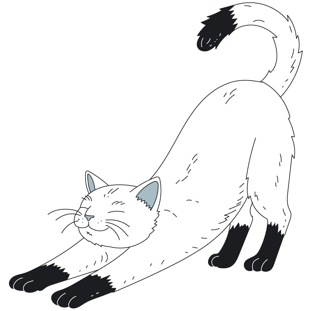 Illustration of a cat stretching.