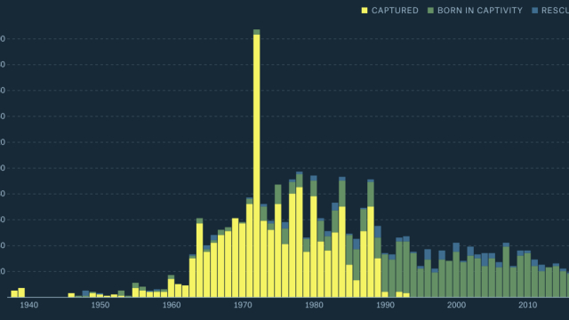 Free Willy and Flipper by the Numbers