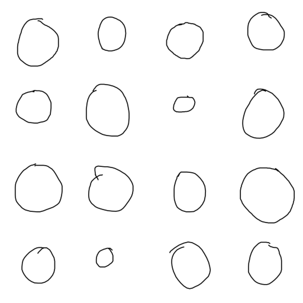 a selection of circles from the secret experiment